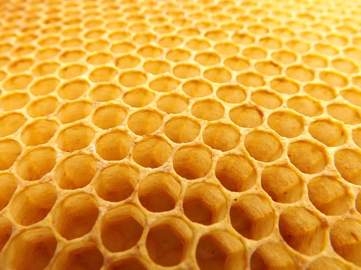 六角形がすき間なく並ぶ蜂の巣(ハニカム構造)